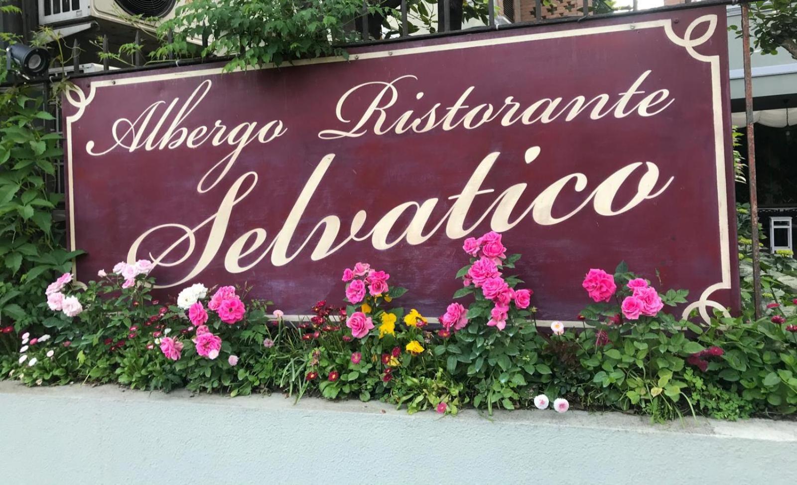 Albergo & Ristorante Selvatico Rivanazzano Terme Buitenkant foto